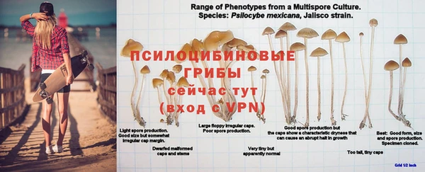 гашик Балабаново