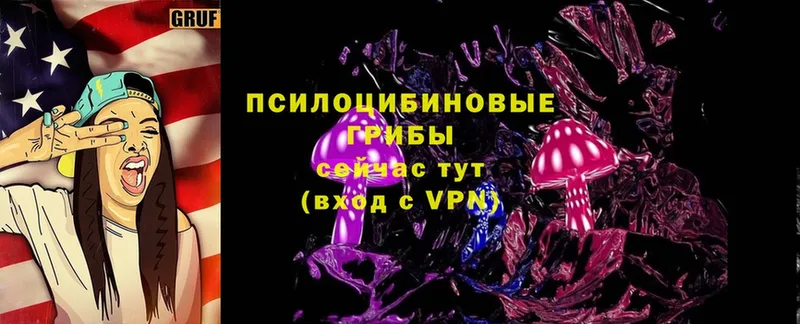 Псилоцибиновые грибы Magic Shrooms  Сертолово 